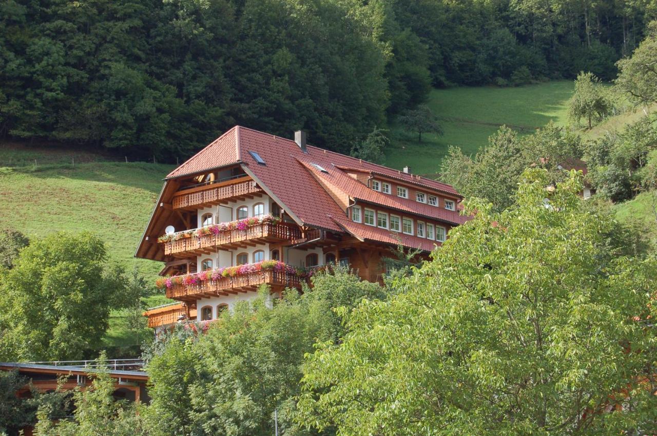 Aparthotel Ehrenmattlehof Faisst Bad Peterstal-Griesbach Exteriér fotografie