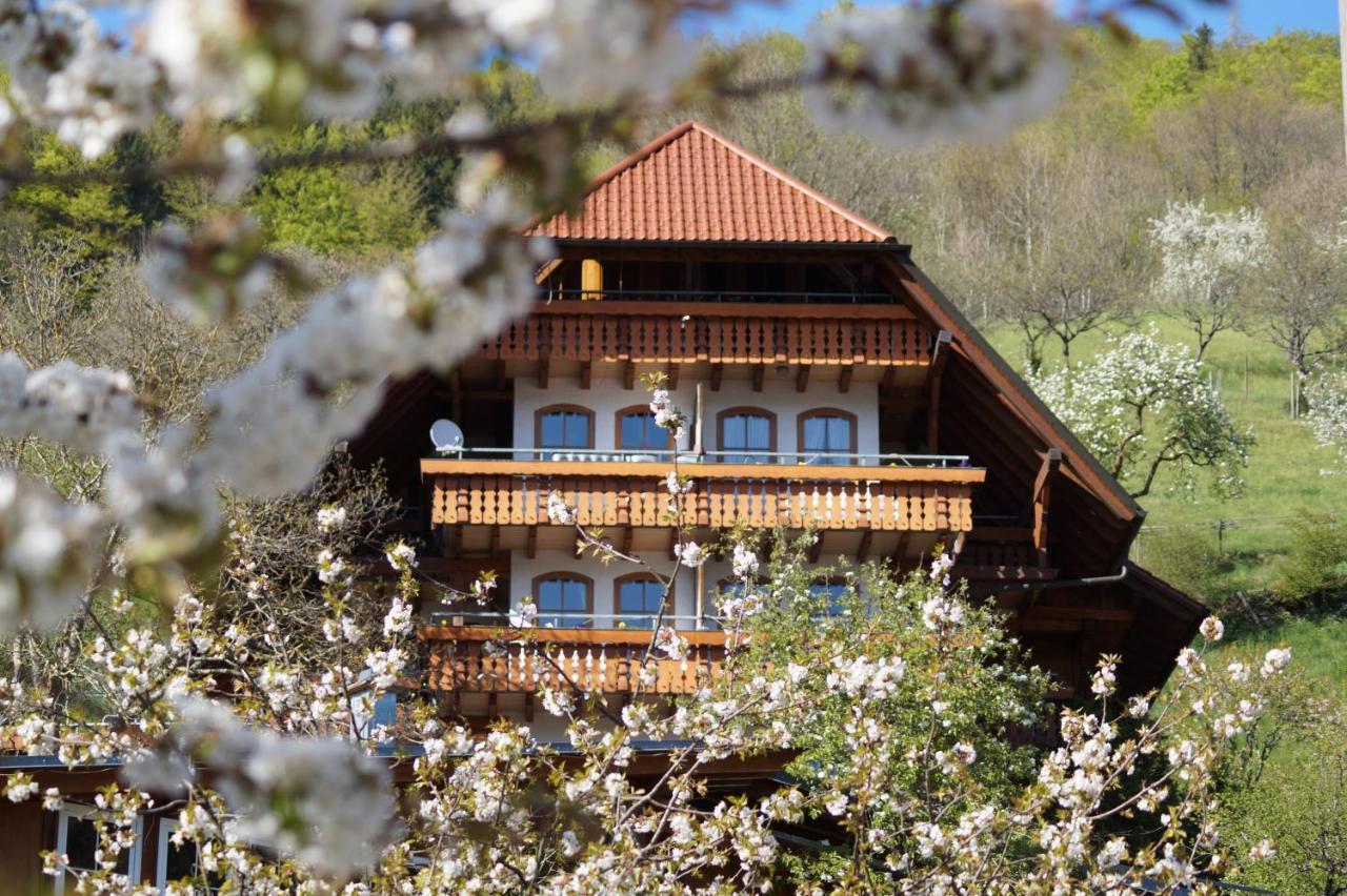 Aparthotel Ehrenmattlehof Faisst Bad Peterstal-Griesbach Exteriér fotografie