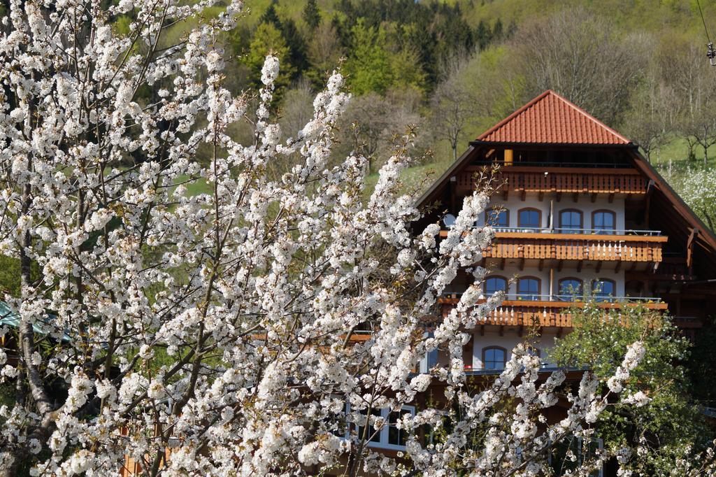 Aparthotel Ehrenmattlehof Faisst Bad Peterstal-Griesbach Pokoj fotografie