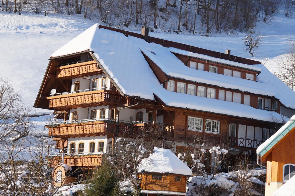 Aparthotel Ehrenmattlehof Faisst Bad Peterstal-Griesbach Exteriér fotografie