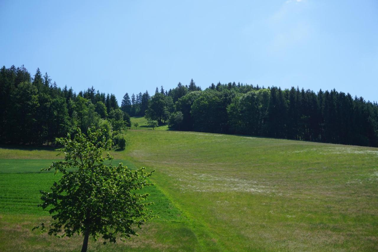 Aparthotel Ehrenmattlehof Faisst Bad Peterstal-Griesbach Exteriér fotografie