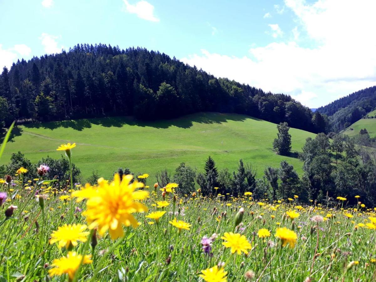 Aparthotel Ehrenmattlehof Faisst Bad Peterstal-Griesbach Exteriér fotografie