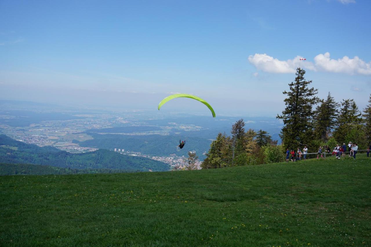 Aparthotel Ehrenmattlehof Faisst Bad Peterstal-Griesbach Exteriér fotografie