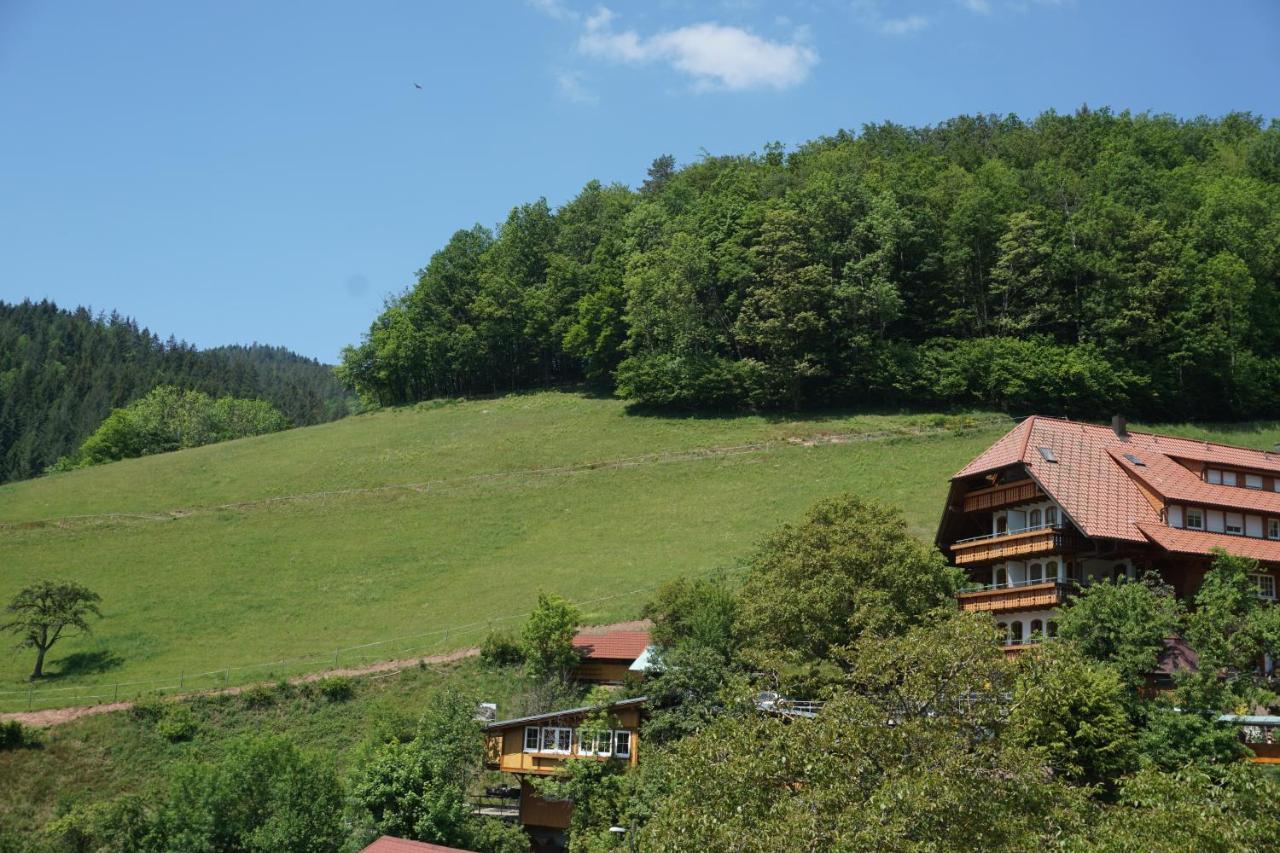 Aparthotel Ehrenmattlehof Faisst Bad Peterstal-Griesbach Exteriér fotografie